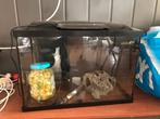 Aquarium, Dieren en Toebehoren, Vissen | Aquaria en Toebehoren, Ophalen, Zo goed als nieuw, Leeg aquarium