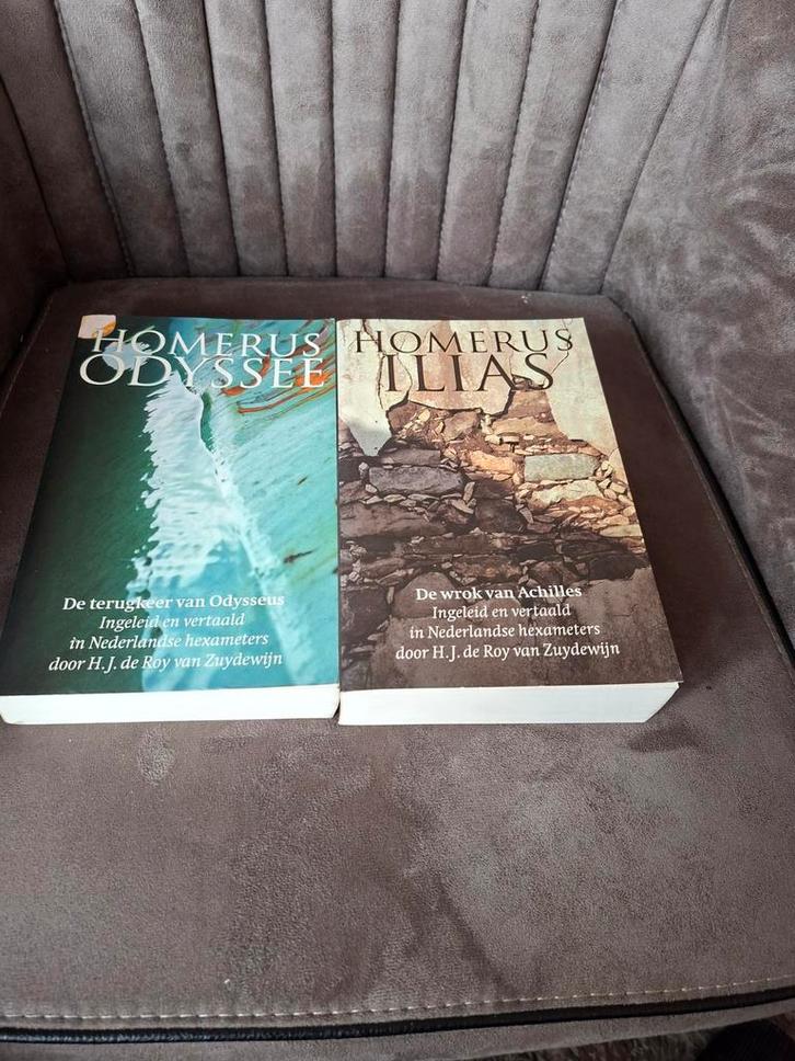 Homerus Ilias & Odyssee - H.J. de Roy van Zuydewijn, Boeken, Literatuur, Gelezen, Nederland, Ophalen of Verzenden