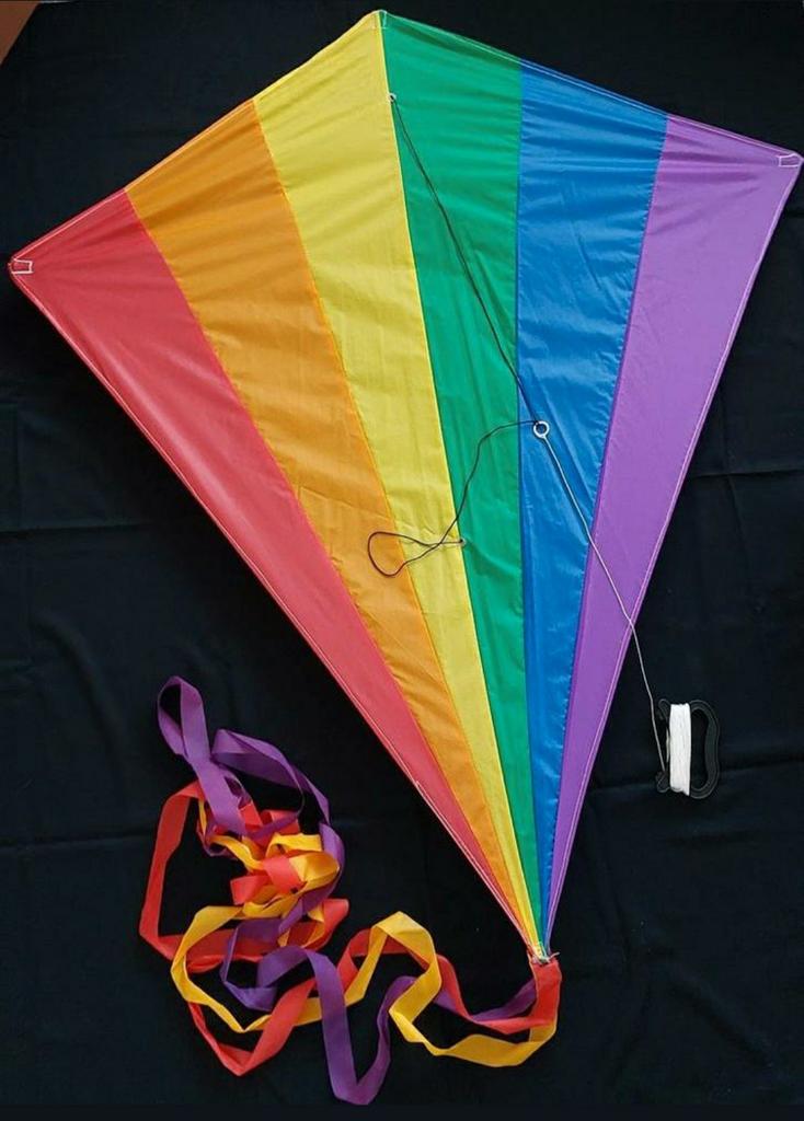 ZGAN! Regenboogkleur sportvlieger, met hoes en handleiding, Ophalen of Verzenden, Zo goed als nieuw