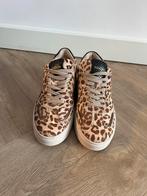 Haboob sneaker €50 maat 39, Kleding | Dames, Schoenen, Poelman, Nieuw, Ophalen of Verzenden, Sneakers of Gympen