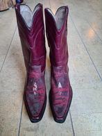 Mexicaanse cowboy boots mt 44. Western laarzen, Kleding | Heren, Schoenen, Ophalen of Verzenden, Gedragen, Bruin, Boots