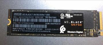 WD Black SN750 250GB NVMe SSD beschikbaar voor biedingen