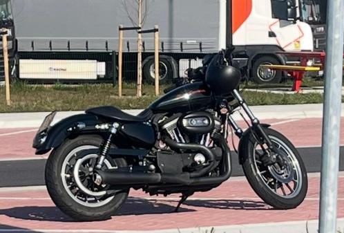 Harley Davidson Sportster XL 883R, Motoren, Motoren | Harley-Davidson, Particulier, Chopper, meer dan 35 kW, 2 cilinders, Motorrijbewijs A