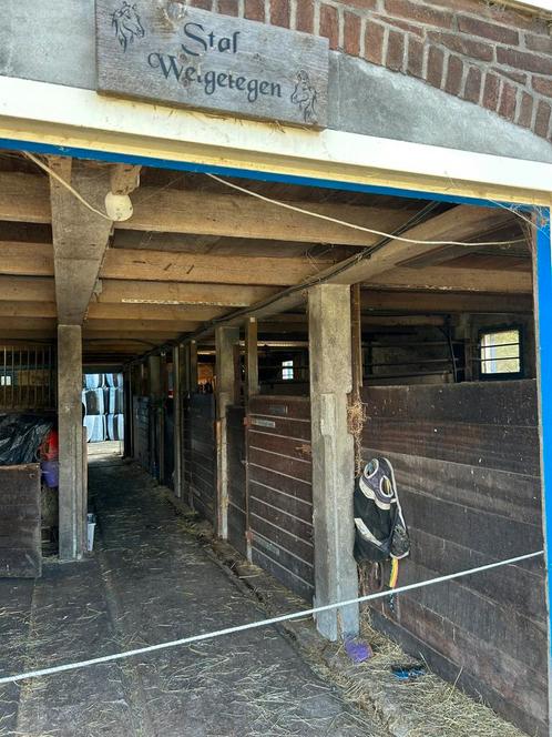 All incl. Stal max. E Pony, Dieren en Toebehoren, Stalling en Weidegang, Stalling, Weidegang, 1 paard of pony