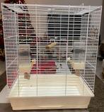 Mooi grote gebruikte parkieten kooi met toebehoren te koop, Ophalen, Gebruikt, Metaal, Vogelkooi