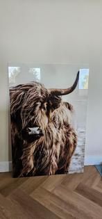 Highland koe op glas, Ophalen, Zo goed als nieuw