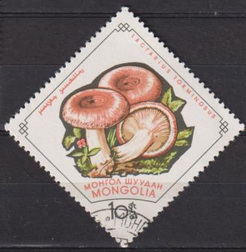 Mongolië Paddenstoelen beschikbaar voor biedingen