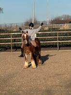 ## Super schattige en onwijs lieve kinder pony ##, B, C pony (1.27m tot 1.37m), 7 tot 10 jaar, Recreatiepony
