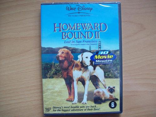Homeward Bound 2 (Nieuw in folie!) Walt Disney, Cd's en Dvd's, Dvd's | Avontuur, Nieuw in verpakking, Alle leeftijden, Ophalen of Verzenden