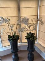 2 bloempotten met mooie zijde orchideeën, Huis en Inrichting, Woonaccessoires | Kunstplanten en Kunstbloemen, Ophalen, Zo goed als nieuw