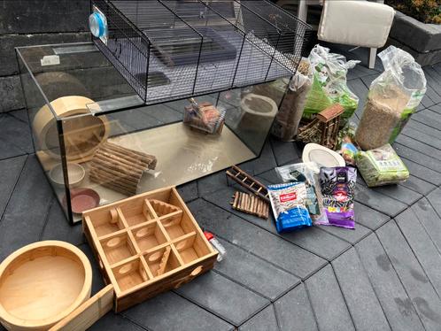 Hamsterkooi met veel toebehoren, Dieren en Toebehoren, Knaagdieren en Konijnen | Hokken en Kooien, Kooi, Minder dan 60 cm, Minder dan 75 cm