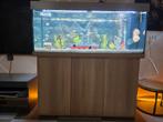 Juwel Aquarium Rio 240 Led 121x41x50 cm - Aquaria - Licht Ho, Dieren en Toebehoren, Vissen | Aquaria en Toebehoren, Ophalen, Zo goed als nieuw