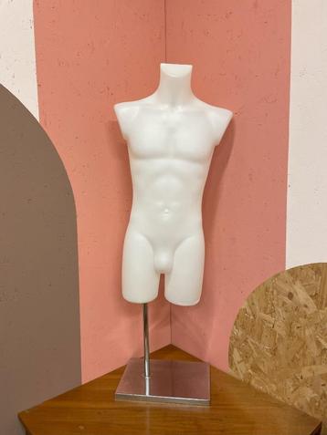 Torso - mannequin - paspop beschikbaar voor biedingen