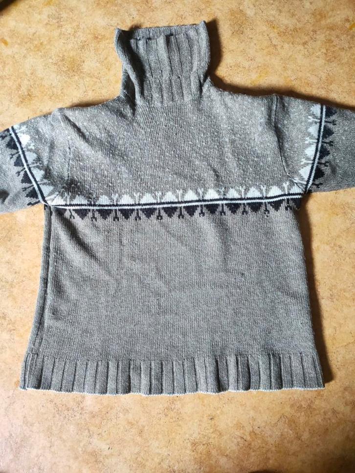 heren truien, Kleding | Heren, Truien en Vesten, Gedragen, Maat 48/50 (M), Overige kleuren, Ophalen of Verzenden