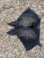 Kentucky vliegenmasker COB, Dieren en Toebehoren, Paarden en Pony's | Overige Paardenspullen, Ophalen of Verzenden, Gebruikt