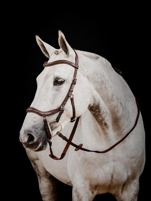 Rambo Micklem 2 Deluxe Competition Bridle, Cob, Full, X-Full, Dieren en Toebehoren, Paarden en Pony's | Hoofdstellen en Tuigage