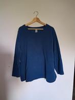 Trui maat 50, Kleding | Dames, Ophalen of Verzenden, Zo goed als nieuw, Maat 46/48 (XL) of groter, Blauw