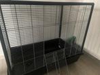 Kooi, Dieren en Toebehoren, Knaagdieren en Konijnen | Hokken en Kooien, Ophalen of Verzenden, Zo goed als nieuw, Kooi, Minder dan 60 cm