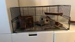 Glazen kooi voor hamster, Dieren en Toebehoren, Kooi, Gebruikt, Hamster, 75 tot 110 cm