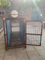 Doorloop weegschaal tot 200 kg, Dieren en Toebehoren, Schapen, Geiten en Varkens, Vrouwelijk, Schaap