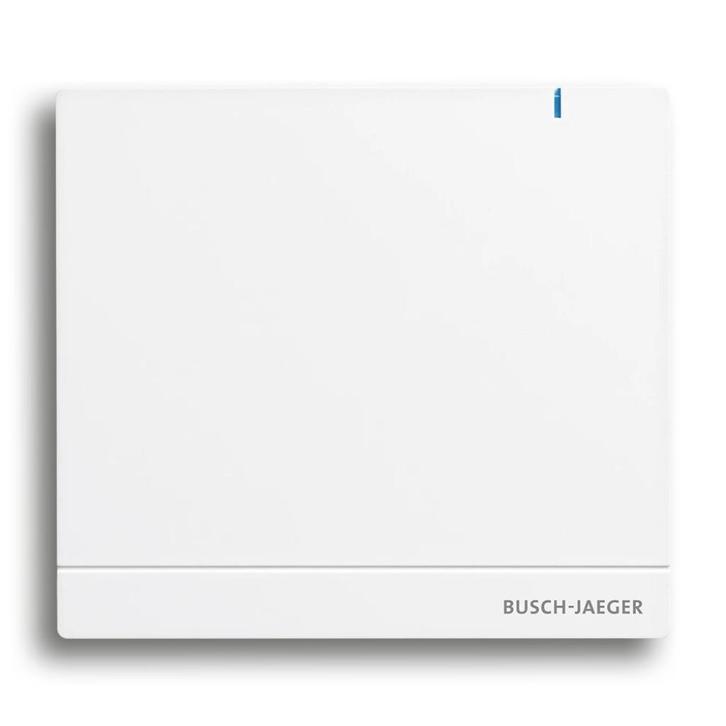 Busch Jaeger Free@Home SAP/S.13 System Access Point 2.0, Doe-het-zelf en Verbouw, Elektra en Kabels, Nieuw, Overige typen, Ophalen of Verzenden