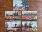 Serie 5 kaarten, Groeten uit de Bloembollenvelden, 1953, Ophalen of Verzenden, 1940 tot 1960