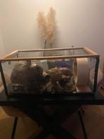 Hamsterkooi met heel veel accessoires + voer + reismand, Dieren en Toebehoren, Kooi, Zo goed als nieuw, Hamster, 75 tot 110 cm