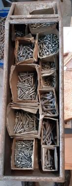 Diverse schroeven in sorteerdoos, Gebruikt, Schroeven, Ophalen of Verzenden, Minder dan 50 mm