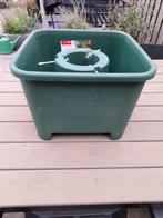 Kerstboom standaard, Ophalen