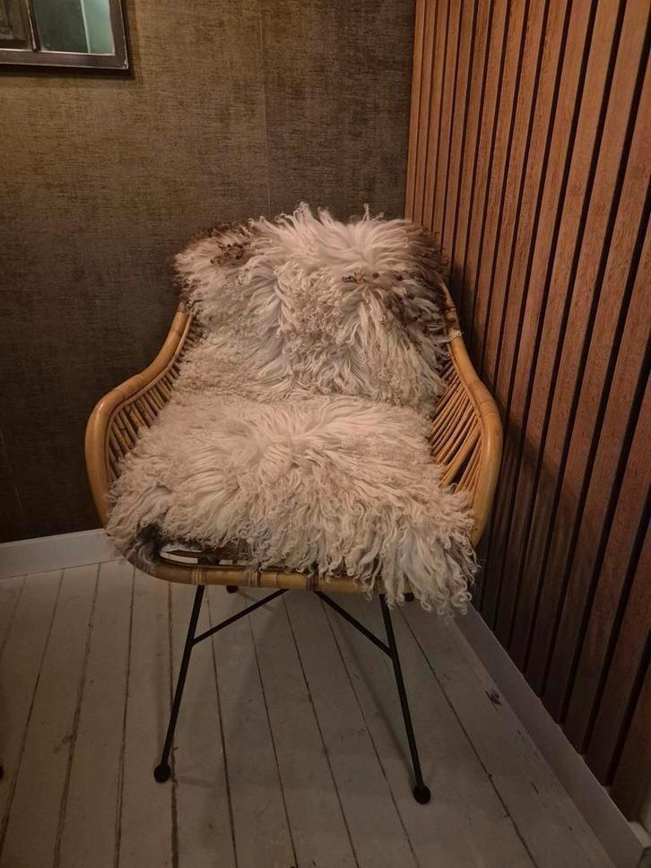 Set van 2 rotanstoelen met zwarte poten..ibiza style, Huis en Inrichting, Stoelen, Zo goed als nieuw, Eén, Metaal, Riet of Rotan