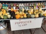 Mooi gekleurde grote en kleine pompoenen, Ophalen, Nieuw