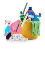 BETROUWBARE SCHOONMAAKSTER, Diensten en Vakmensen, Huishoudelijke hulp