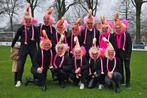 Flamingopakken (carnavals- theaterkleding), Kleding | Dames, Carnavalskleding en Feestkleding, Ophalen, Zo goed als nieuw, Carnaval