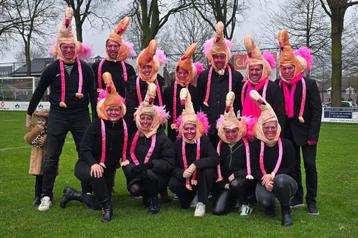 Flamingopakken (carnavals- theaterkleding) beschikbaar voor biedingen
