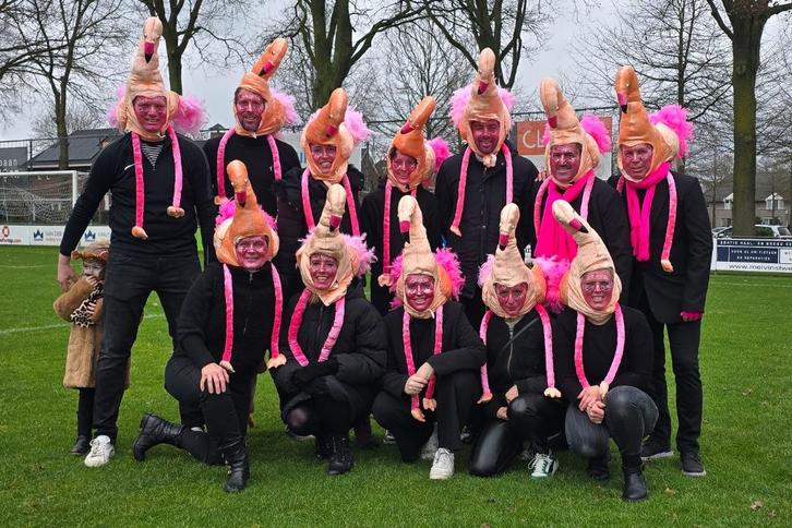 Flamingopakken (carnavals- theaterkleding), Kleding | Dames, Carnavalskleding en Feestkleding, Zo goed als nieuw, Kleding, Carnaval