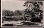 Zuidwolde (Dr.) Eendenvijver in de Falie berg., Verzamelen, Ansichtkaarten | Nederland, Ophalen of Verzenden, 1940 tot 1960, Gelopen