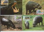 Dwergnijlpaarden Liberia 4 maxikaarten wwf wnf 1984, Postzegels en Munten, Ophalen of Verzenden, Buitenland