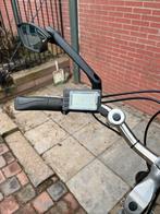 Van Raam Driewieler Elektrisch met Handgas, Ophalen, Zo goed als nieuw