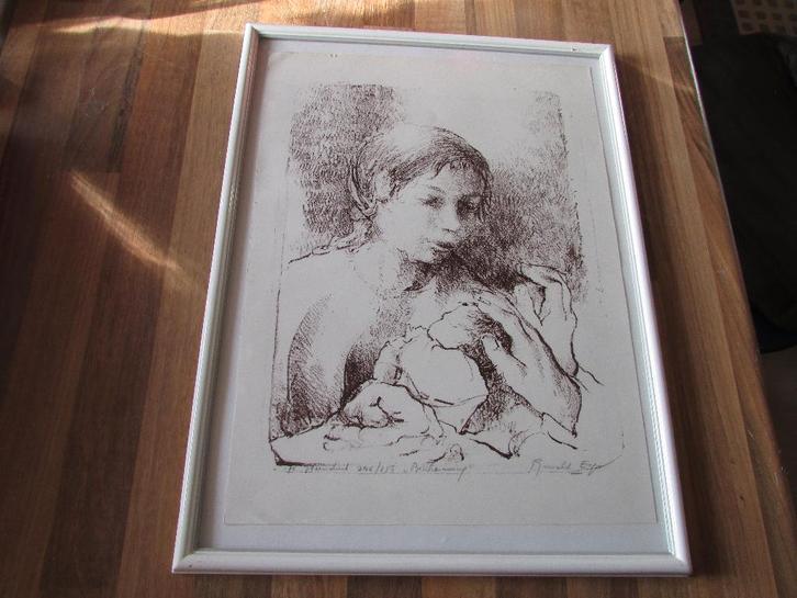 RONALD ERGO, BESCHERMING , STEENDRUK, Antiek en Kunst, Kunst | Litho's en Zeefdrukken, Ophalen of Verzenden