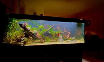 Dennerle Trocal Led 160cm + Controller - Aquariumverlichting beschikbaar voor biedingen
