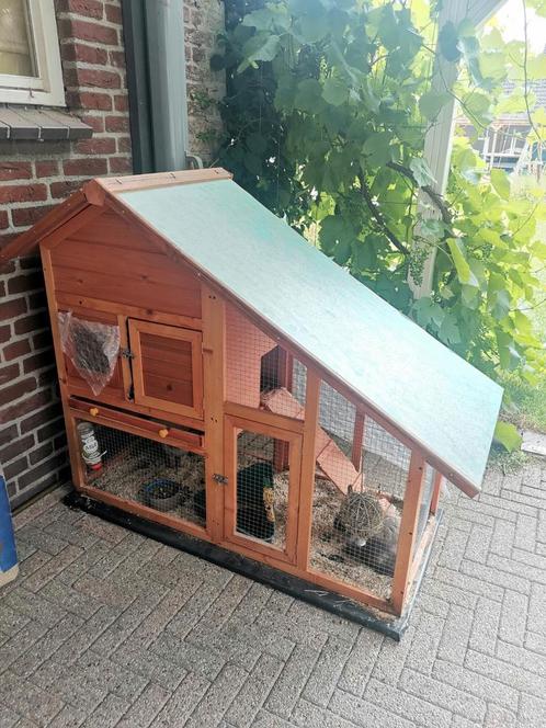 2 dwergkonijnen met hok en buitenren, Dieren en Toebehoren, Knaagdieren, Meerdere dieren, Overige typen, Voor 1 juli 2024