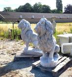 Set grote betonnen leeuwen, Tuin en Terras, Tuinbeelden, Ophalen, Nieuw, Beton, Dierenbeeld