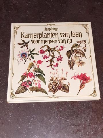 Kamerplanten van toen voor mensen van nu beschikbaar voor biedingen