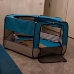 Tent voor kittens, Dieren en Toebehoren, Katten-accessoires, Ophalen of Verzenden, Nieuw