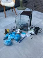 Qubic 30 aquarium met heel veel toebehoren!, Dieren en Toebehoren, Vissen | Aquaria en Toebehoren, Ophalen, Zo goed als nieuw