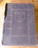 Antieke Bijbel met schitterende kleuren platen, Antiek en Kunst, Ophalen of Verzenden