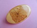 jwg Vintage 60s 70s hortensia droogbloem broche creme geel, Verzenden, Overige materialen, Broche