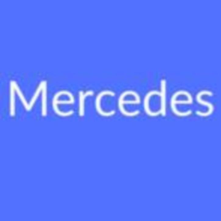 Mercedes WIS 07.2021 Standalone, Auto diversen, Handleidingen en Instructieboekjes, Verzenden