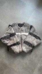 Grijze konijnen bontjas fur coat rabbit gestreept XS/S, Kleding | Dames, Jassen | Winter, Ophalen of Verzenden, Zo goed als nieuw