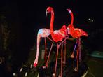 Uniek tuinbeeld flamingo's met verlichting, Ophalen of Verzenden, Gebruikt, Overige materialen, Dierenbeeld